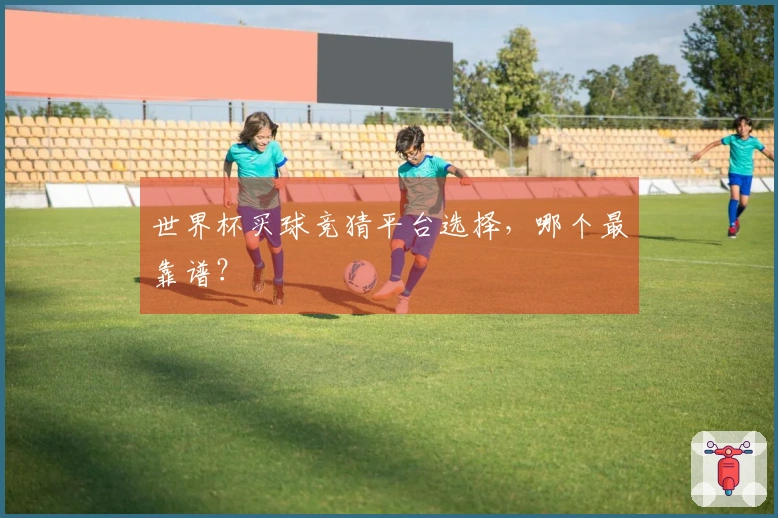 世界杯买球竞猜平台选择，哪个最靠谱？