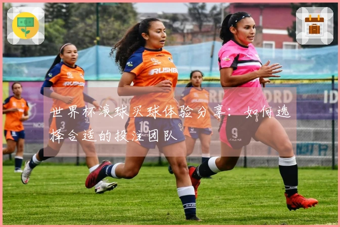 世界杯滚球买球体验分享：如何选择合适的投注团队