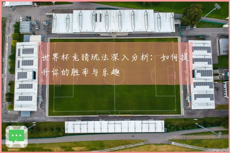 世界杯竞猜玩法深入分析：如何提升你的胜率与乐趣