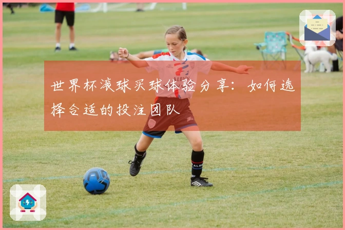 世界杯滚球买球体验分享：如何选择合适的投注团队