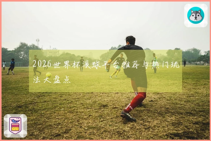 2026世界杯滚球平台推荐与热门玩法大盘点