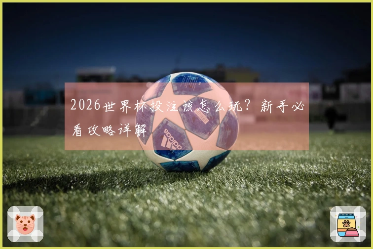 2026世界杯投注该怎么玩？新手必看攻略详解