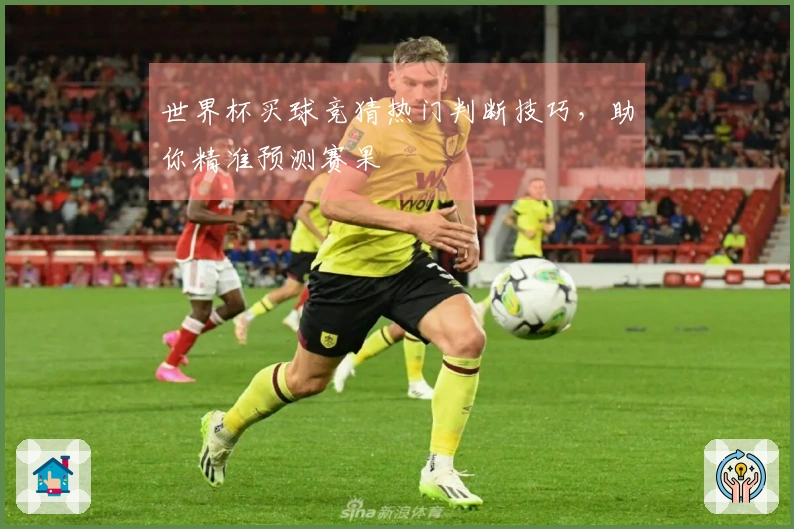 世界杯买球竞猜热门判断技巧，助你精准预测赛果