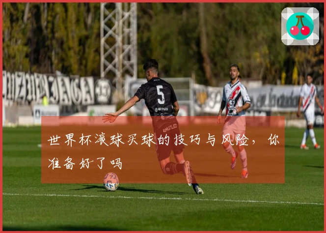 世界杯滚球买球的技巧与风险，你准备好了吗