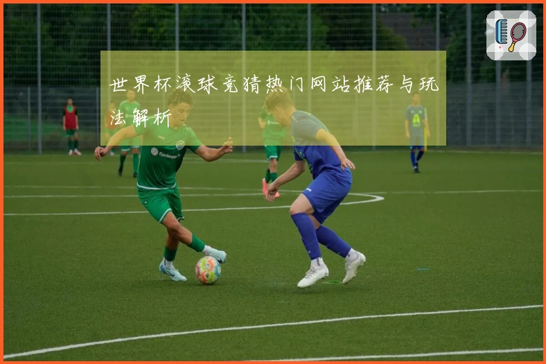 世界杯滚球竞猜热门网站推荐与玩法解析