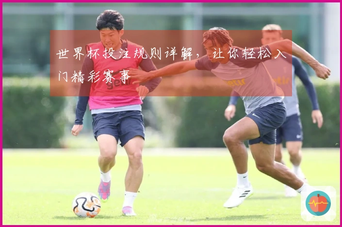 世界杯投注规则详解，让你轻松入门精彩赛事