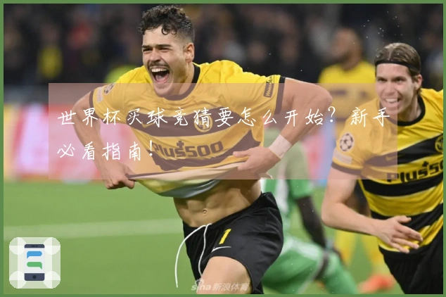 世界杯买球竞猜要怎么开始？新手必看指南！