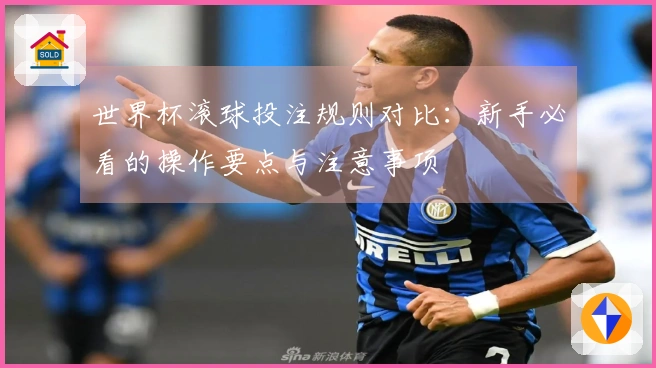 世界杯滚球投注规则对比：新手必看的操作要点与注意事项