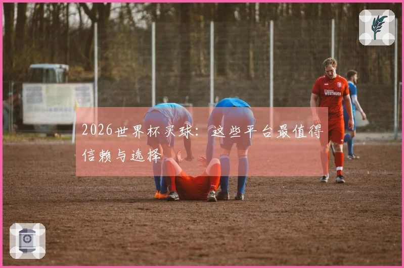 2026世界杯买球：这些平台最值得信赖与选择