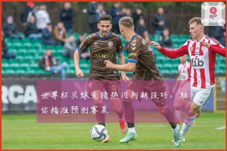 世界杯买球竞猜热门判断技巧，助你精准预测赛果