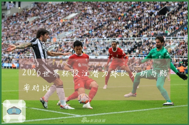 2026世界杯投注潜力球队分析与赔率对比