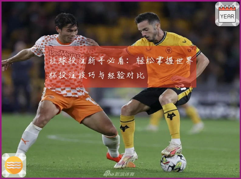 让球投注新手必看：轻松掌握世界杯投注技巧与经验对比